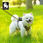 Harris Tweed Hundegeschirr + Leine + Tasche (3er Set) 