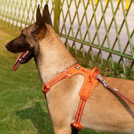 True love Reflektierendes Hundegeschirr Nylon reflektieren des Hunde geschirr einstellbar komfortable Steuerung Step-In brillante truelove tlh5654, Hundegeschirr mit 3M Reflexion - Sonderedition