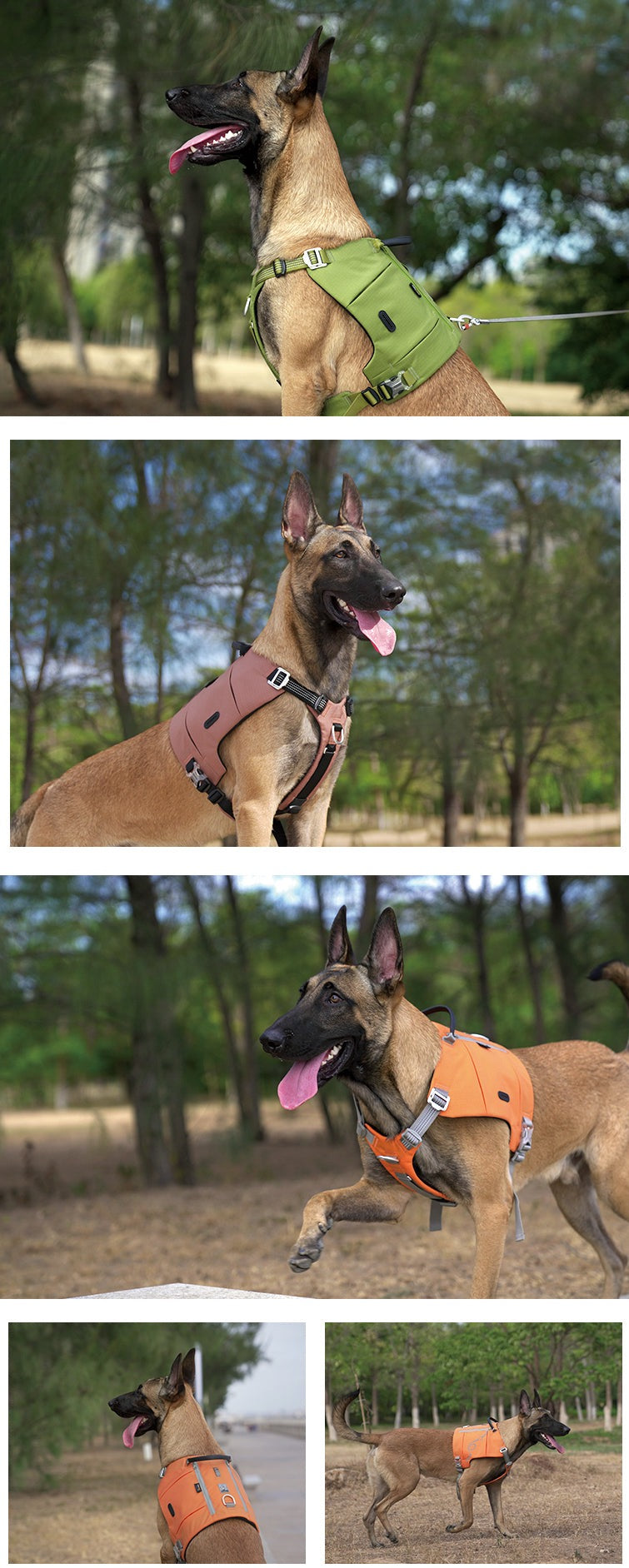 Hundegeschirr mit Taschen Cordura
