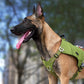 Hundegeschirr mit Taschen Cordura