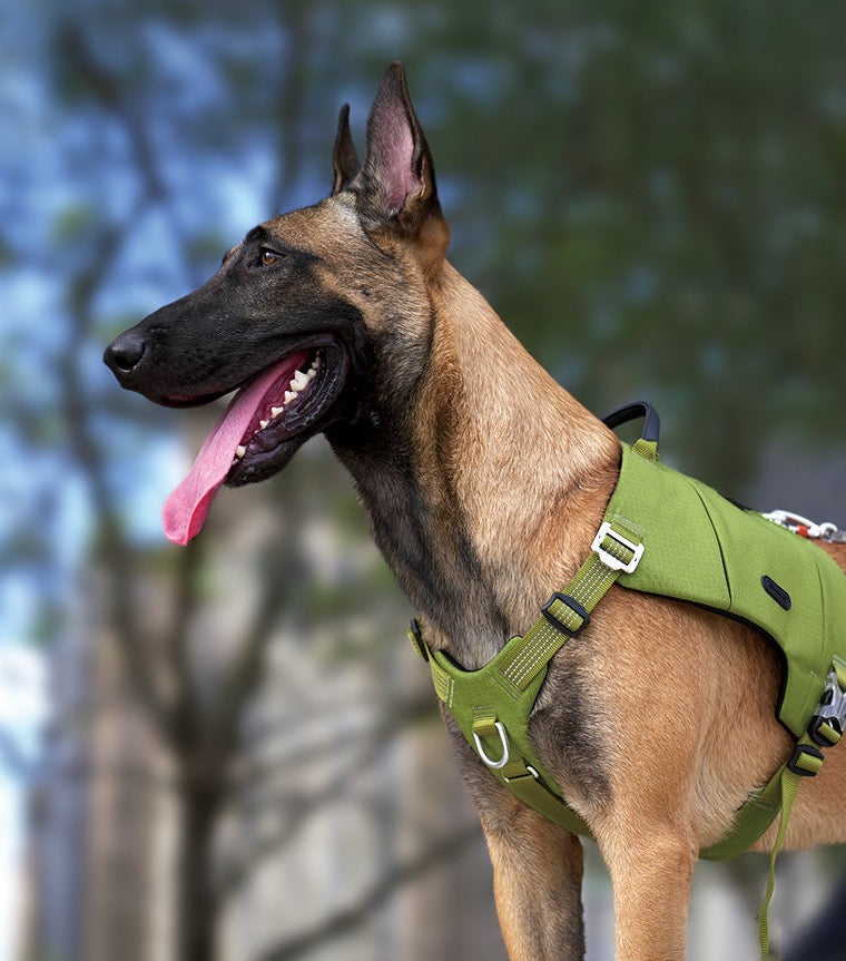 Hundegeschirr mit Taschen Cordura
