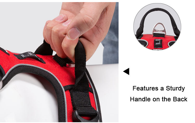 Hundegeschirr mit 3M Reflexion Hundegeschirr Dubai Edition True love