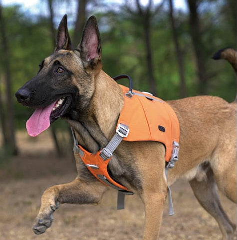 Hundegeschirr mit Taschen Cordura
