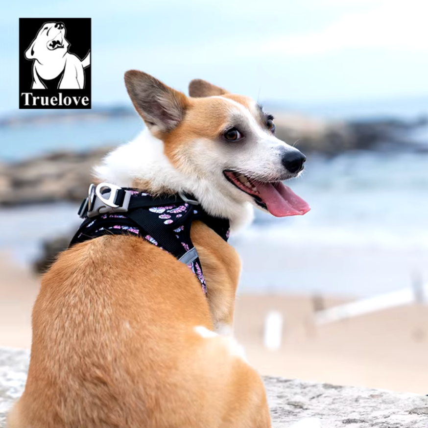 Hundegeschirr Limited Sommer Edition "V2"