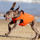 2 in 1 Hundeweste und Geschirr, Hund trägt wasserdichte TrueLove Allwetterjacke mit integriertem Geschirr und 3M Reflektoren – perfekte Hundebekleidung für schlechtes Wetter