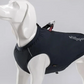 2 in 1 Hundeweste und Geschirr, Hund trägt wasserdichte TrueLove Allwetterjacke mit integriertem Geschirr und 3M Reflektoren – perfekte Hundebekleidung für schlechtes Wetter