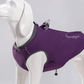 2 in 1 Hundeweste und Geschirr, Hund trägt wasserdichte TrueLove Allwetterjacke mit integriertem Geschirr und 3M Reflektoren – perfekte Hundebekleidung für schlechtes Wetter