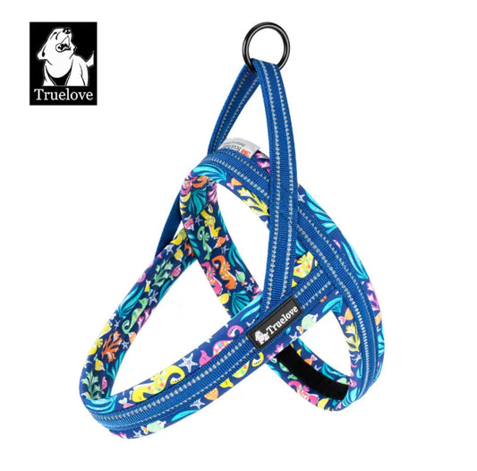 Norwegergeschirr Limited Sommer Edition aus softem Air Mesh True Love for dogs 