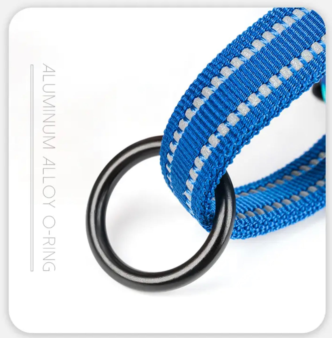 Norwegergeschirr Limited Sommer Edition aus softem Air Mesh True Love for dogs 