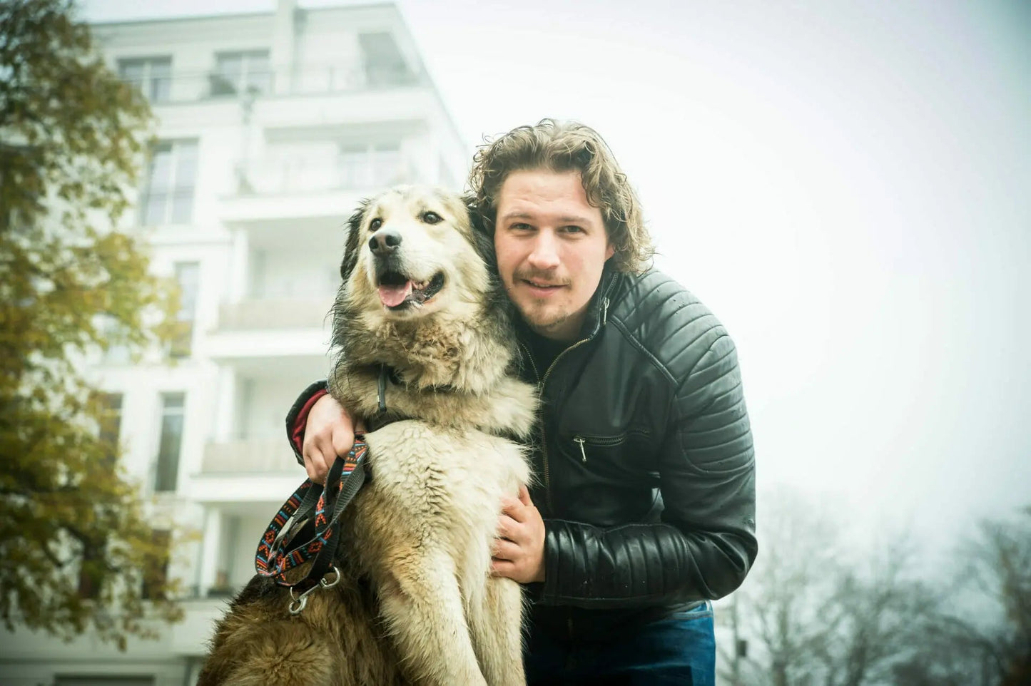 MyPetClub High Protein