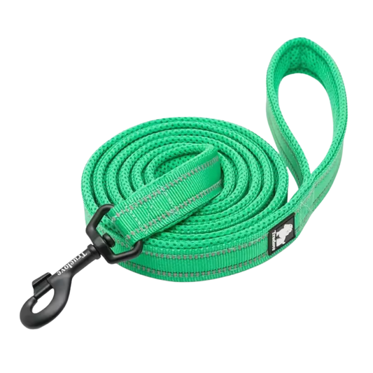 Reflektierende Hundeleine True Love for Dogs