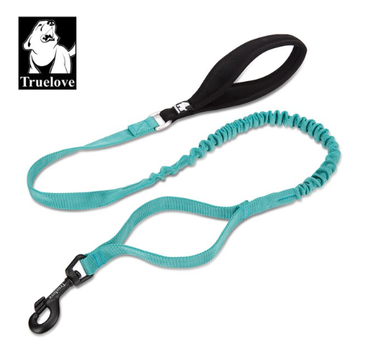 Robuste Bungee Hundeleine