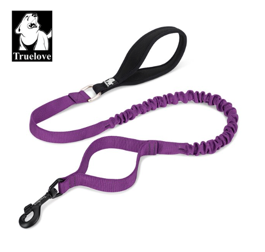 Robuste Bungee Hundeleine