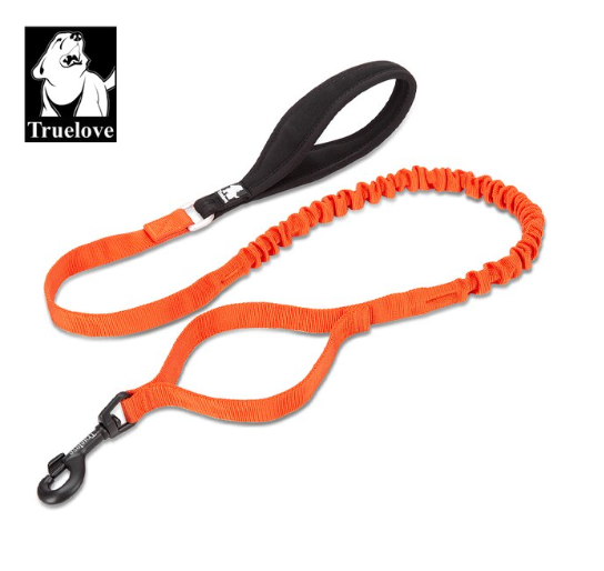 Robuste Bungee Hundeleine