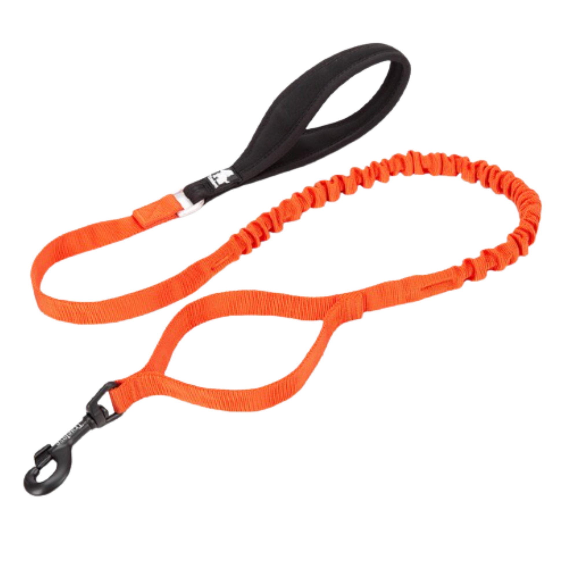 Robuste Bungee Hundeleine true love for Dogs online store