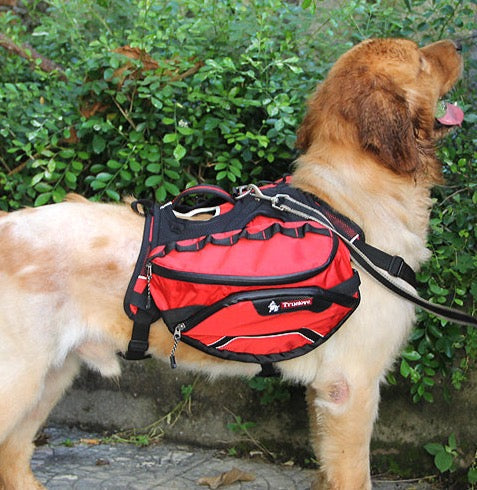 Hunderucksack - Ultimativer Komfort für Outdoor-Abenteuer