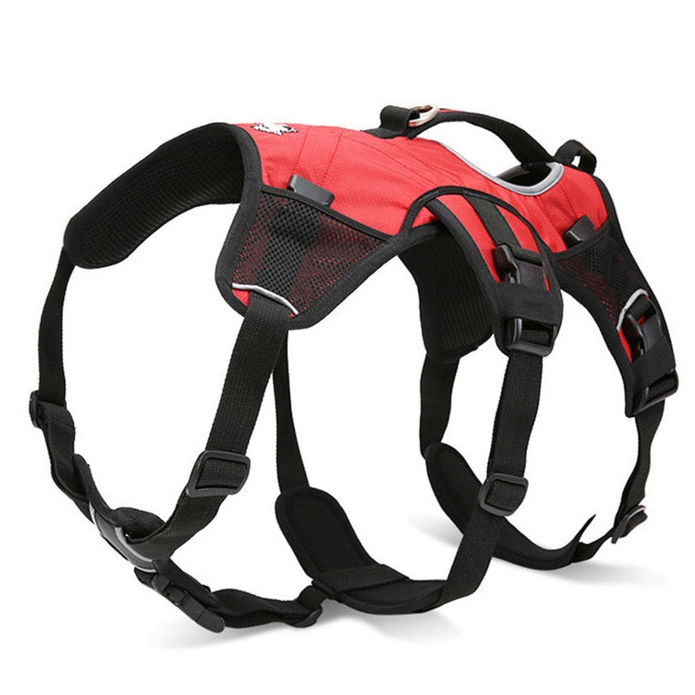 Hunderucksack - Ultimativer Komfort für Outdoor-Abenteuer