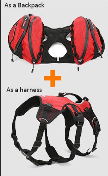 Hunderucksack - Ultimativer Komfort für Outdoor-Abenteuer