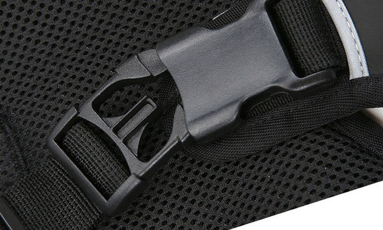 Hunderucksack - Ultimativer Komfort für Outdoor-Abenteuer