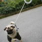 Smarte Rolleine, Smart LED-Rolleine Flexi Roll-Leine mit LED-Licht (3 m) MOESTAR UFO True Love for Dogs 2022 Original MOESTAR UFO einziehbare Haustierleine 2 Plus Hunde-Traktionsseil, flexible Ringform, 3,0 m, mit wiederaufladbarem LED-Licht