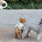 Smarte Rolleine, Smart LED-Rolleine Flexi Roll-Leine mit LED-Licht (3 m) MOESTAR UFO True Love for Dogs 2022 Original MOESTAR UFO einziehbare Haustierleine 2 Plus Hunde-Traktionsseil, flexible Ringform, 3,0 m, mit wiederaufladbarem LED-Licht