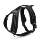 Sportliches Hundegeschirr mit 3M Reflexion True Love for Dogs