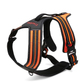 Sportliches Hundegeschirr mit 3M Reflexion True Love for Dogs