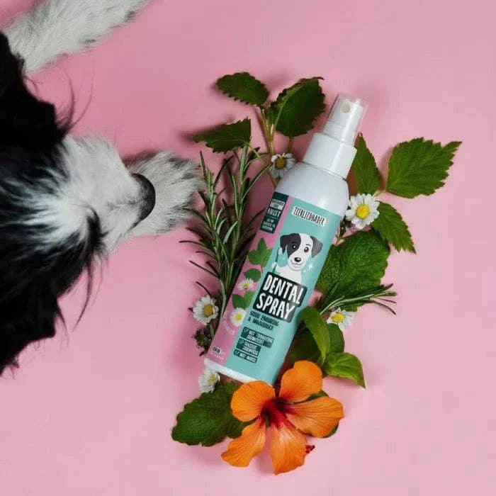 Basic Bundle von Tierliebhaber