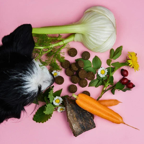 Gras und Kotfresser Drops VF natürlich gegen Sodbrennen von Tierliebhaber