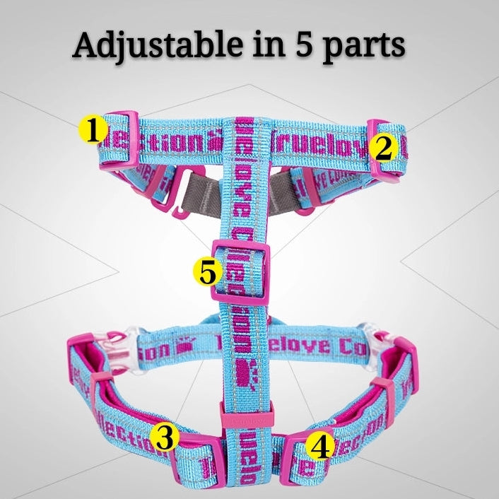 "TRUE LOVE COLLECTION" Sportliches Geschirr - Komfort, Funktionalität 