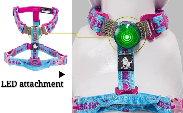 "TRUE LOVE COLLECTION" Sportliches Geschirr - Komfort, Funktionalität 