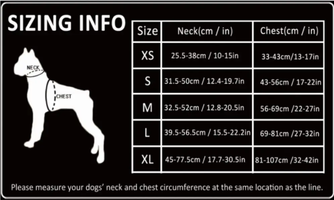 "TRUE LOVE COLLECTION" Sportliches Geschirr - Komfort, Funktionalität 