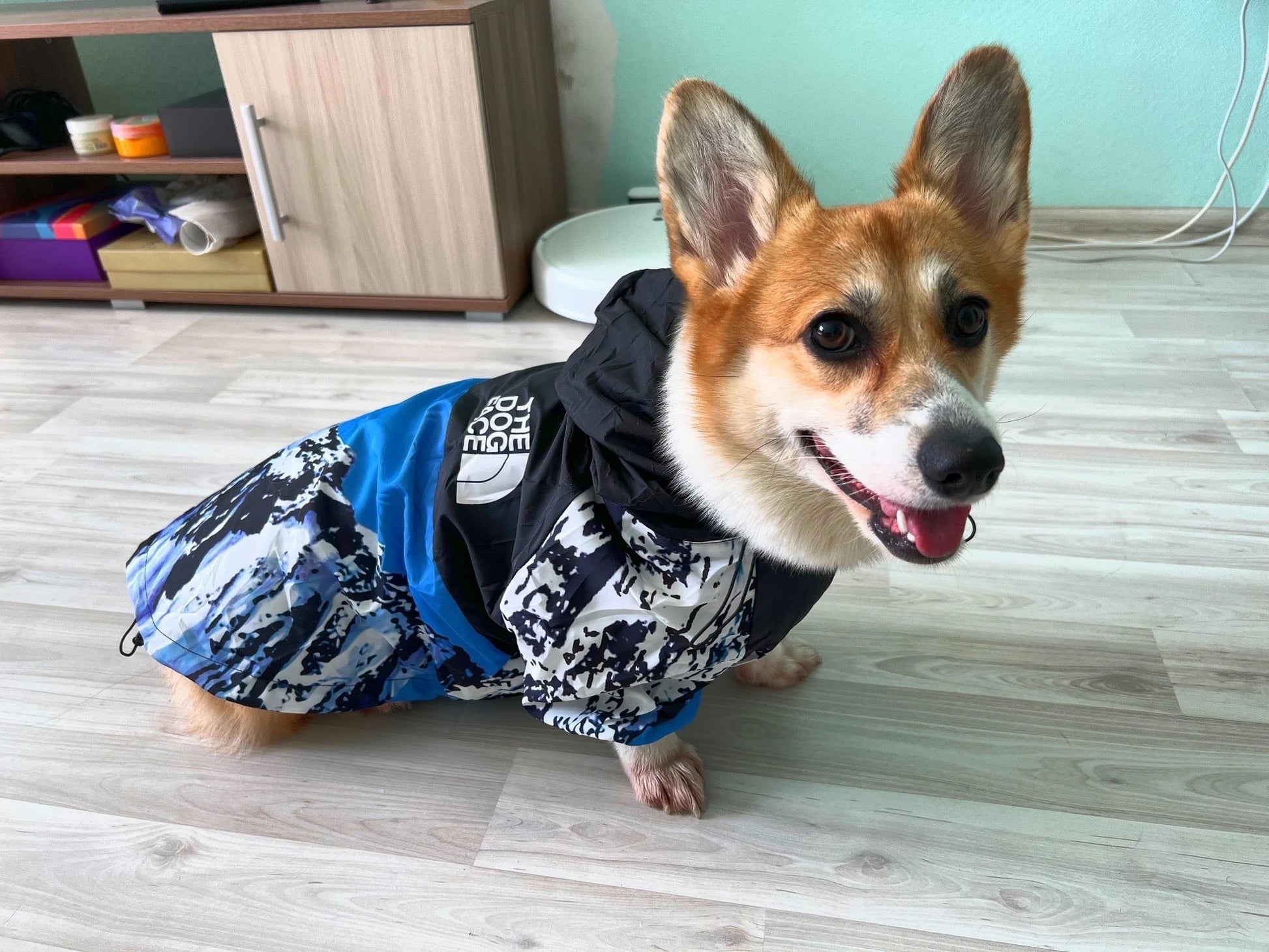 Wasserdichte Hundejacke mit Kapuze „Nature“ true love for dogs positive kundenbewertung