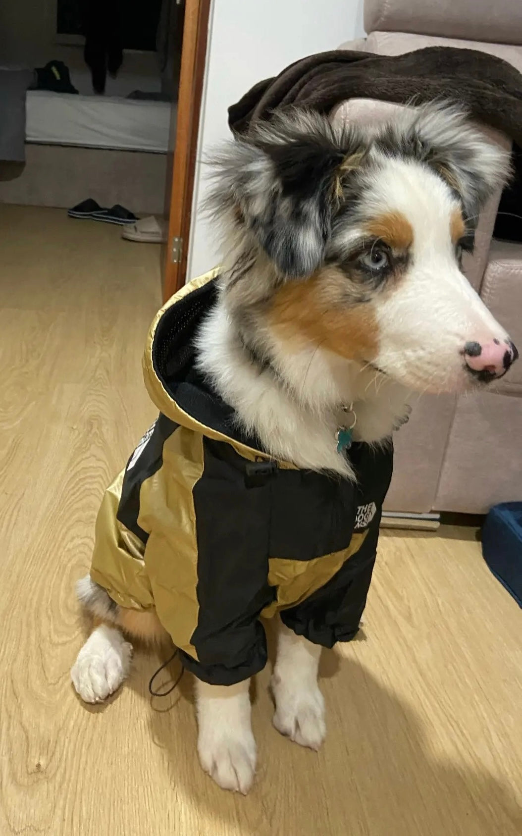 Wasserdichte Hundejacke mit Kapuze „Space Edition“