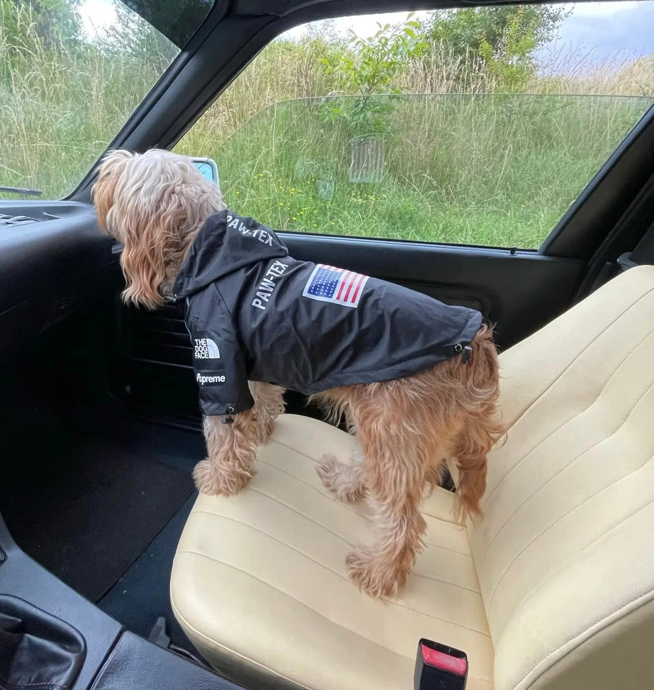 Wasserdichte Hundejacke mit Kapuze „Space Edition“