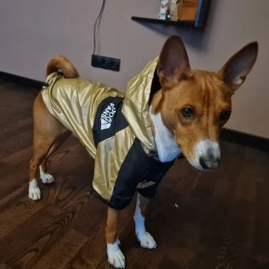 Wasserdichte Hundejacke mit Kapuze „Nature“ true love for dogs positive kundenbewertung