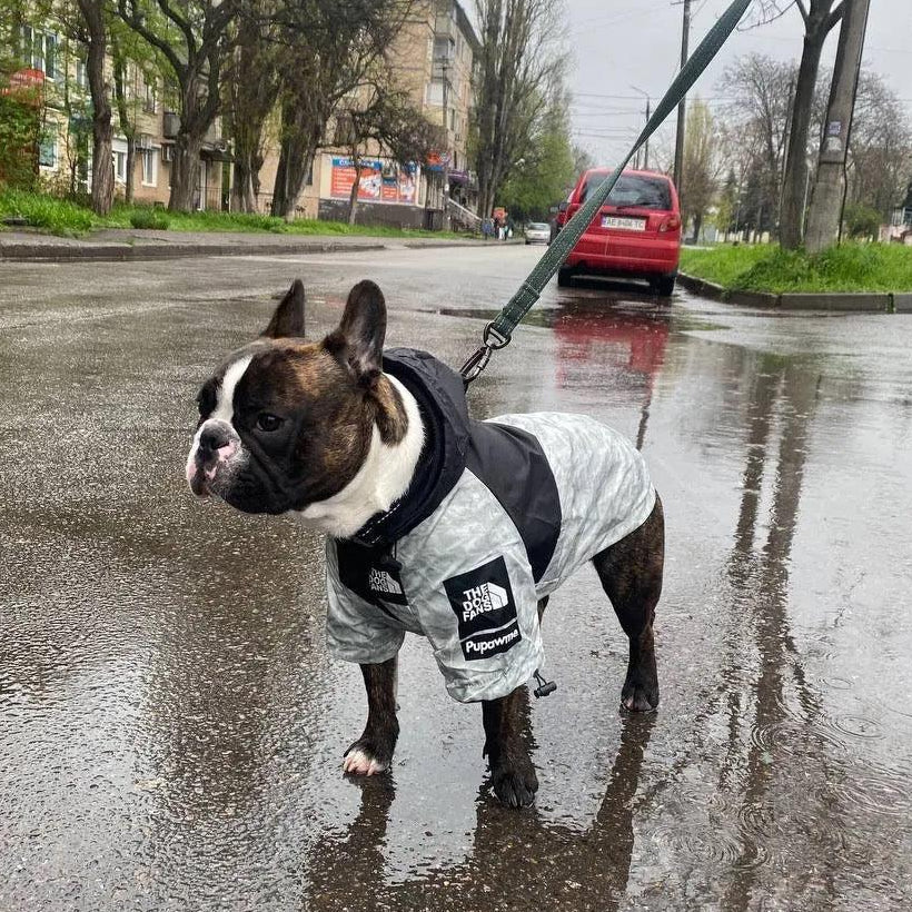 Wasserdichte Hundejacke mit Kapuze „Nature“ true love for dogs positive Kundenbewertung