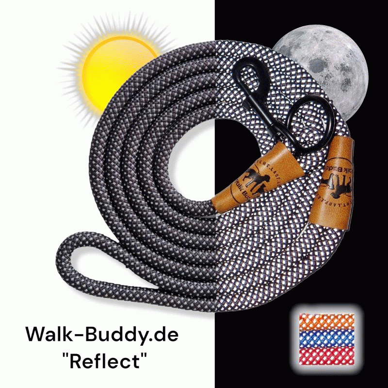 Reflektierende Hundeleine© mit Handschlaufe und veganem Leder in 4 Farben und Varianten