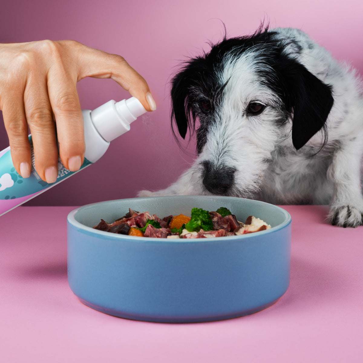 Natürliches Dentalspray zur Entfernung von Zahnstein von Tierliebhaber