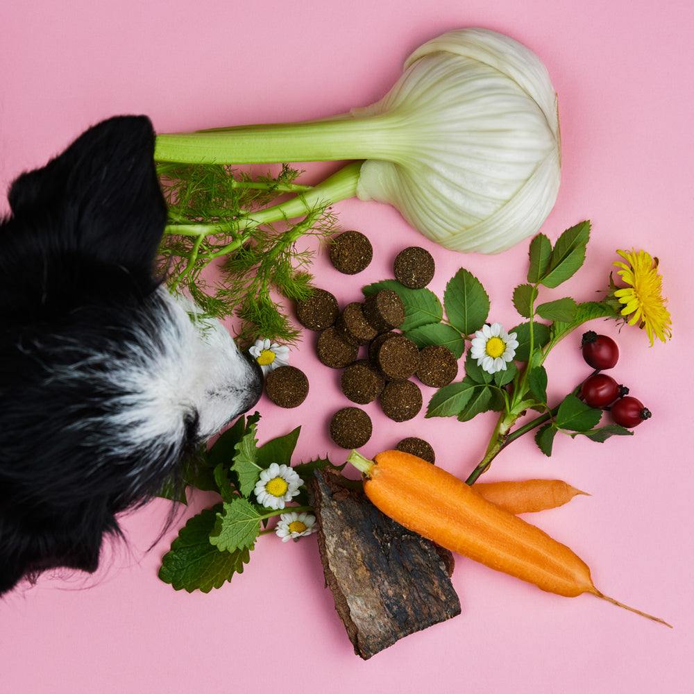 Tierliebhaber Super Bundle Grasfresser Chill out Z-Snack Haut und Fell