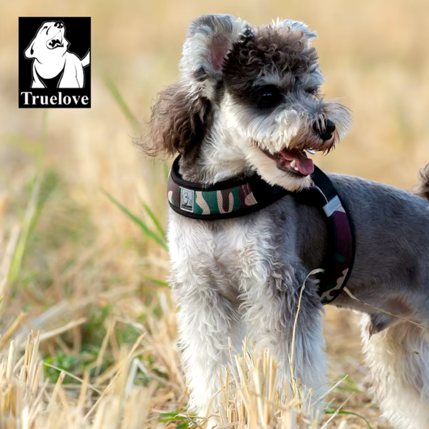 Hundegeschirr Limited Sommer Edition "V2"