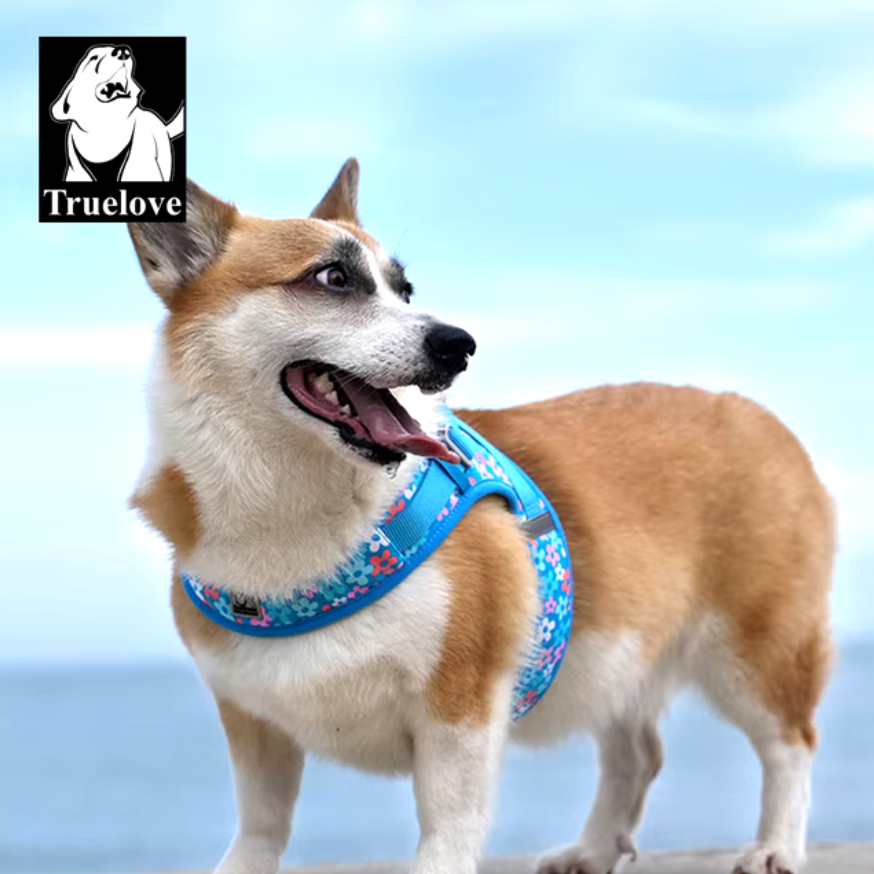 Hundegeschirr Limited Sommer Edition "V2"
