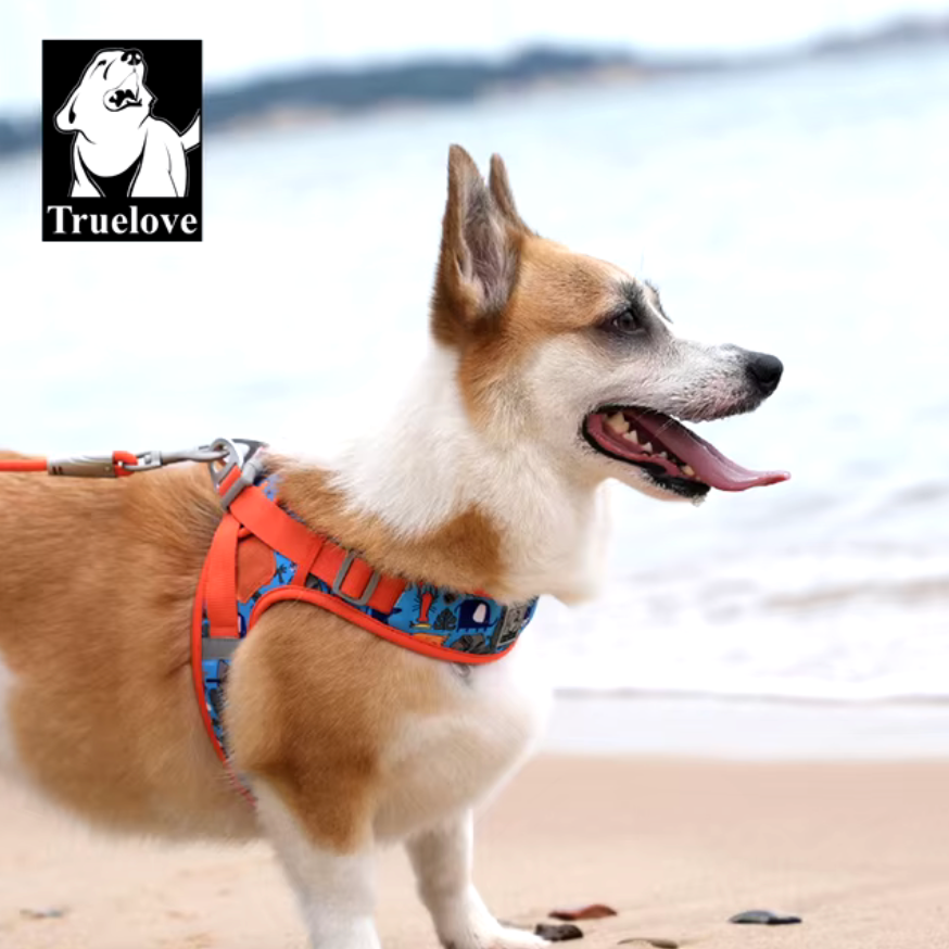 Hundegeschirr Limited Sommer Edition "V2"