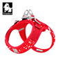 Hundegeschirr Limited Sommer Edition "V2"
