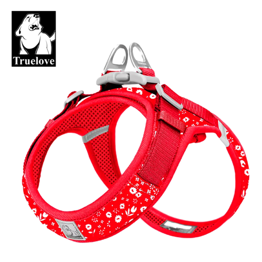 Hundegeschirr Limited Sommer Edition "V2"