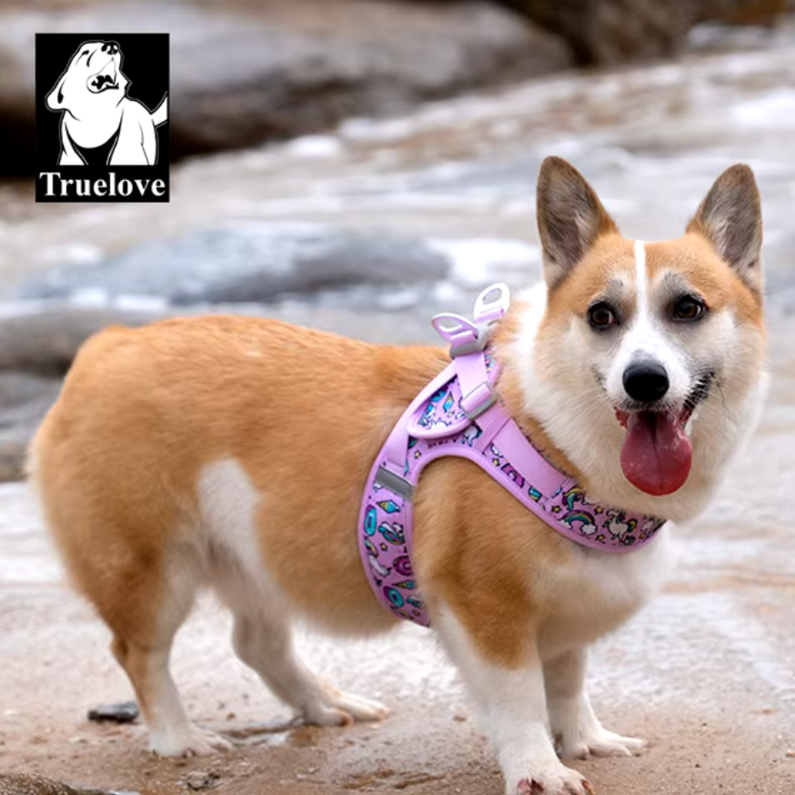 Hundegeschirr Limited Sommer Edition "V2"