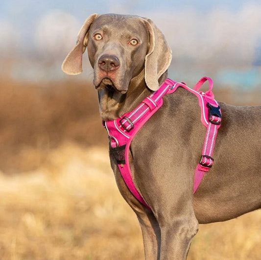 Hundegeschirr mit 3M Reflexion