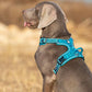 Hundegeschirr mit 3M Reflexion
