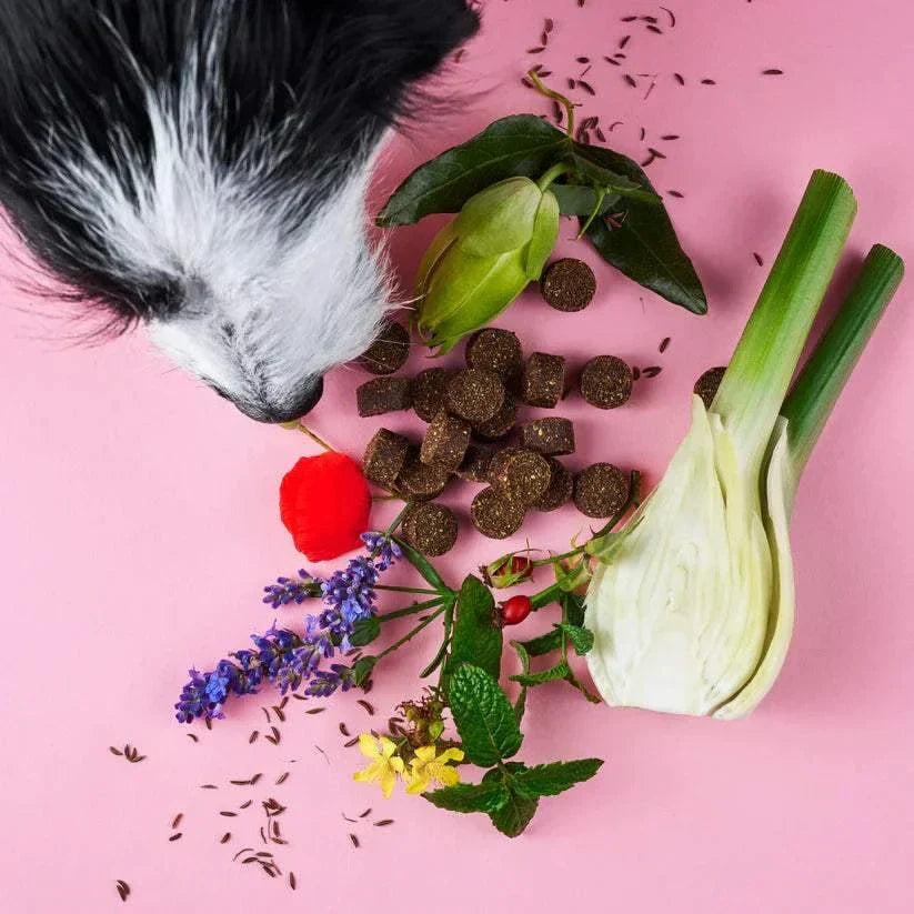Reise Bundle Chillout Drops zur Beruhigung & Belohnungsdrops von Tierliebhaber