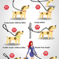 7-in-1 Hundeleine mit 3M Reflexion True Love for Dogs